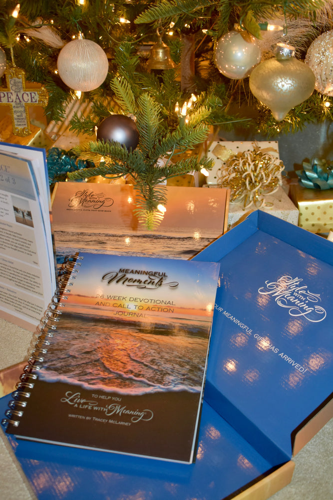 Two books titled 'Meaningful Moments' on a table with a decorated Christmas tree in the background.