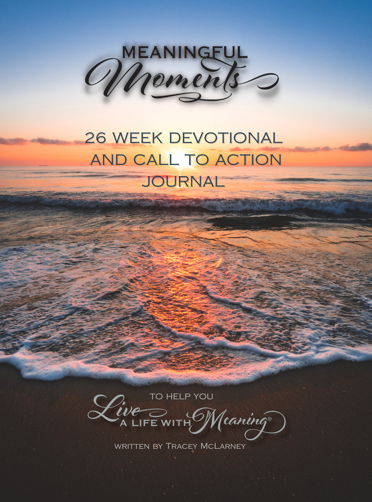 Meaningful Moments Devotional book cover with sunset over ocean 