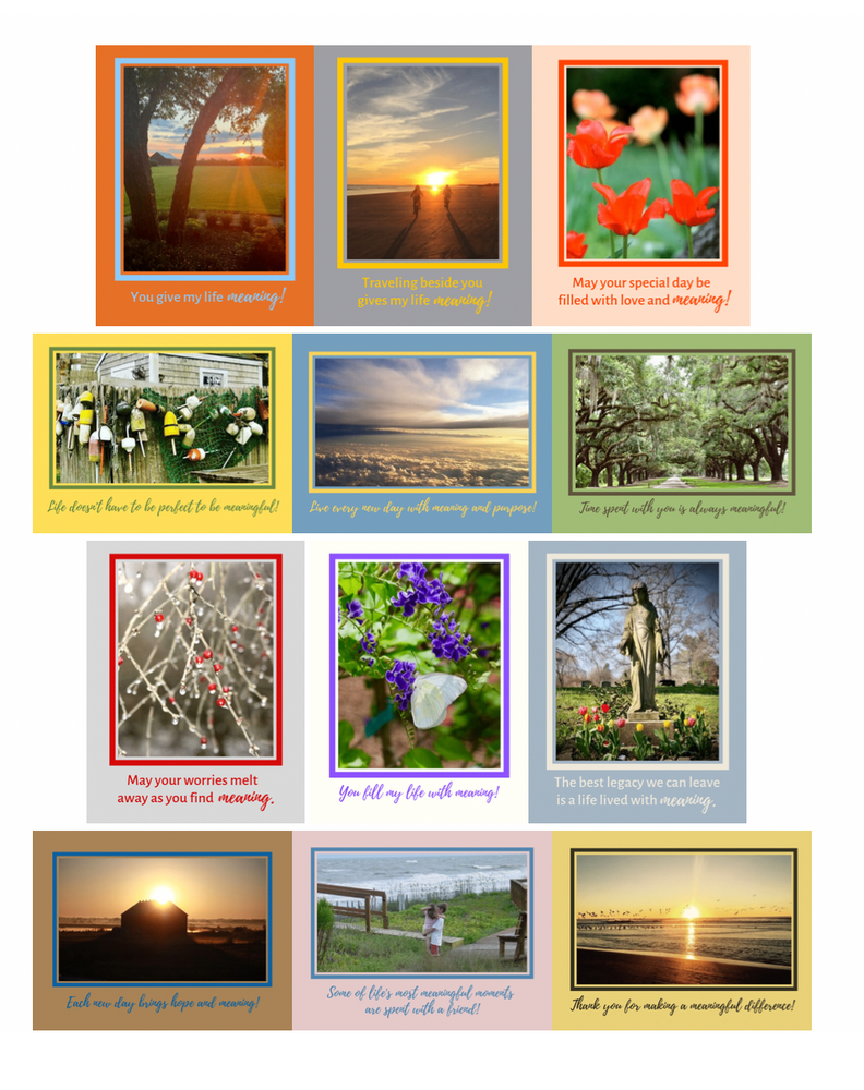 stylewithmeaning.com 19.00 NPSFF02.40 Nurturing Note Cards: Set of 12 Live a Life With Meaning Scenic Line (EXCLUSIVE)